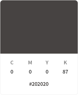 #202020